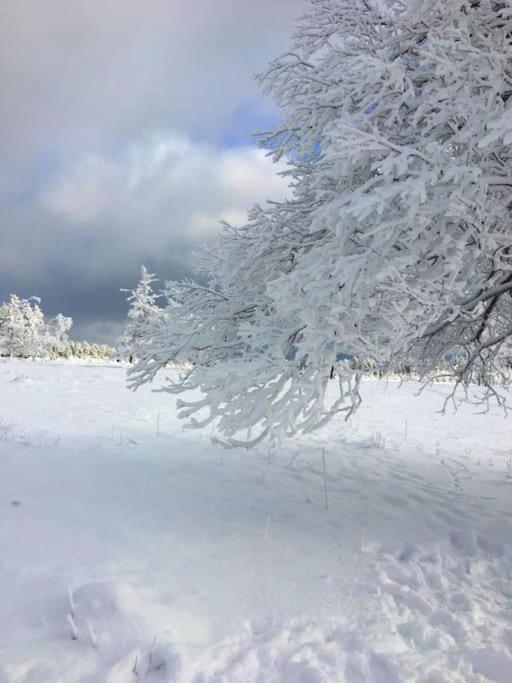 Ferienwohnung Anna Winterberg Exteriör bild